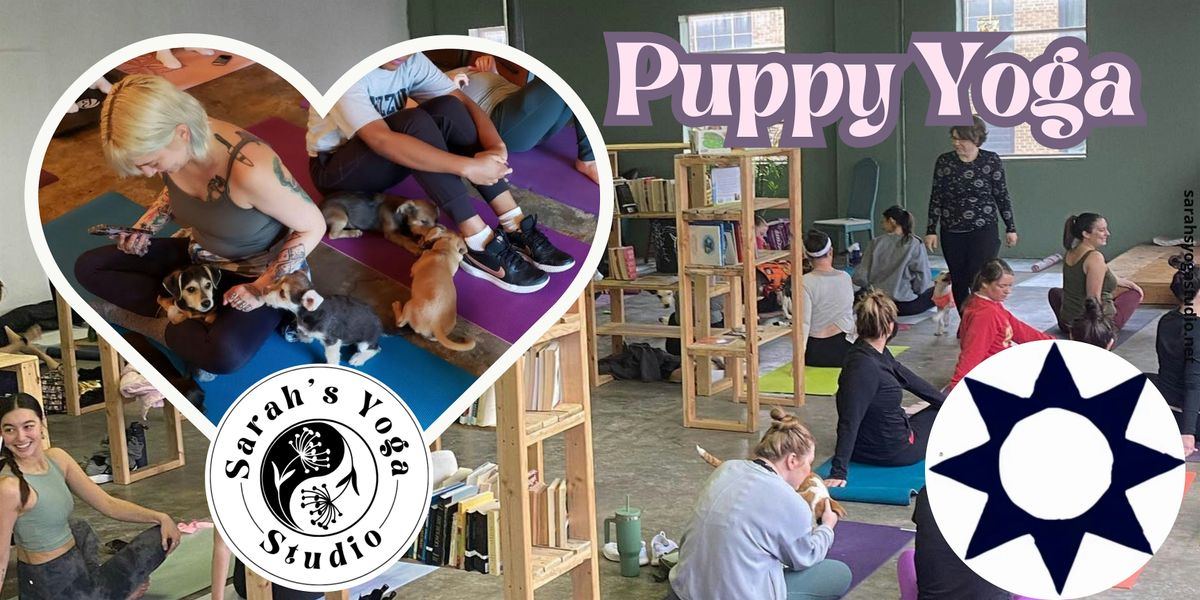 Puppy Yoga at Turnsol Books with Sarah's Yoga Studio, 6 September | Event in Kansas City | AllEvents