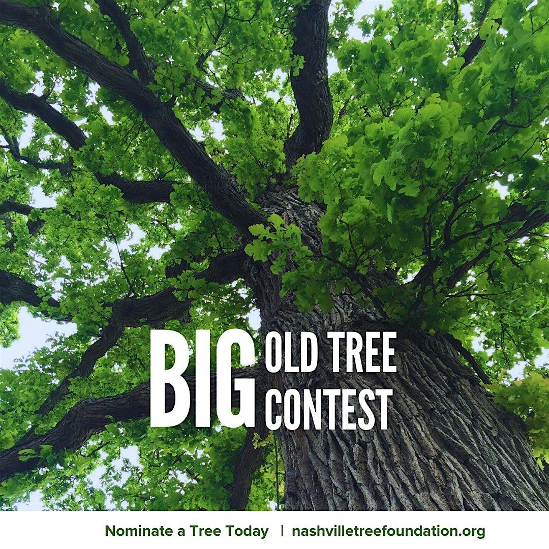 Big Old Tree Awards & Recognition Ceremony, Ed Jones Auditorium ...