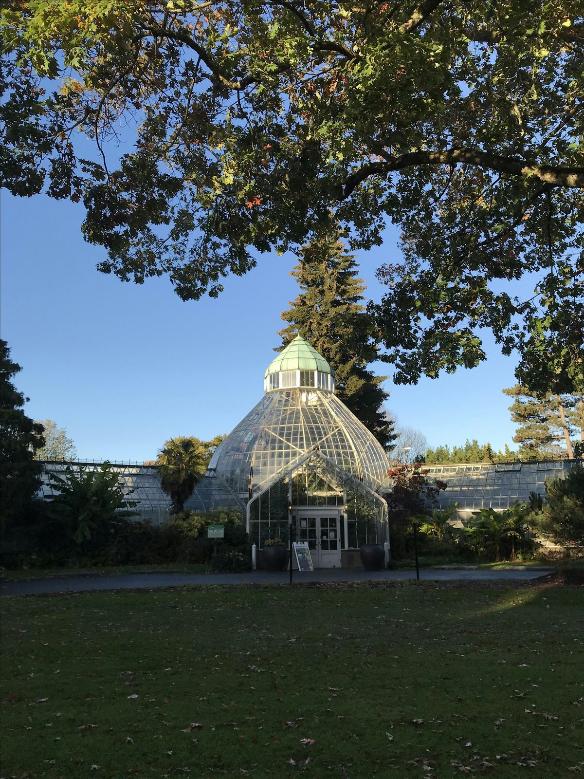 Trivia in the Garden!, 26 June | Event in Tacoma | AllEvents