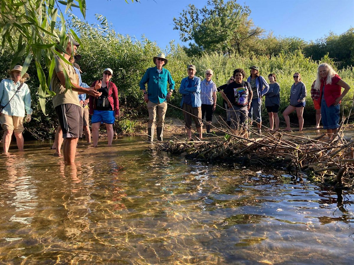 LO Central Coast - Watery Walk w/Beaver Brigade, 23 August | Event in Atascadero | AllEvents