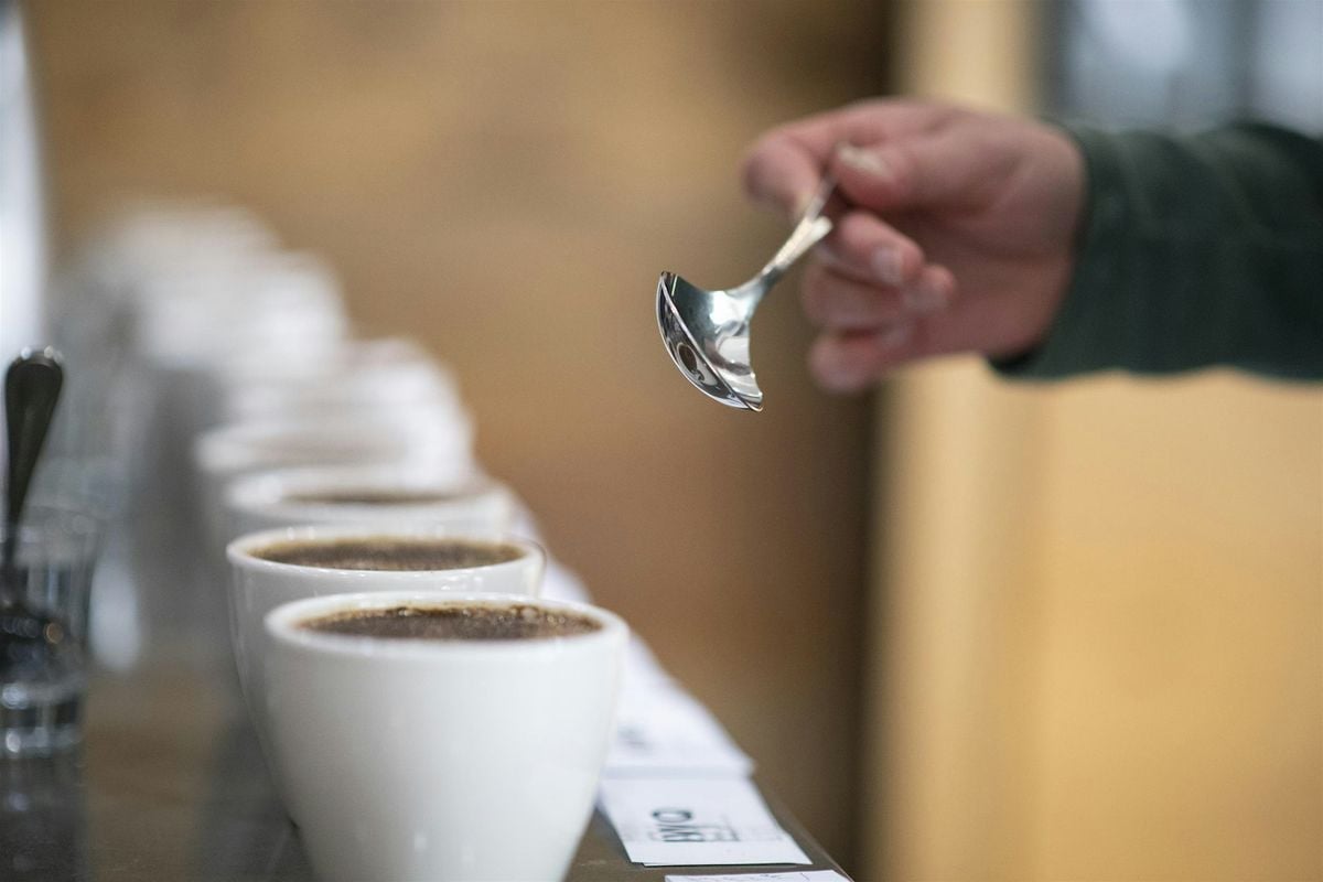 Beyond The Basics: Tasting Place & Process - 5pm Session, 11 July | Event in St. Louis | AllEvents