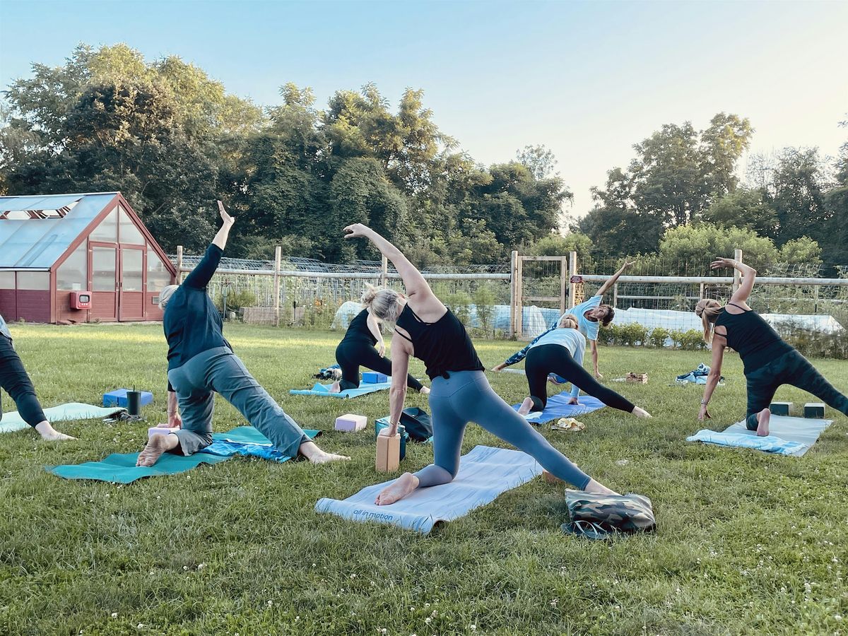 Early morning  Adult  Vinyasa Yoga at Wakeman Town Farm, 21 June | Event in Westport | AllEvents