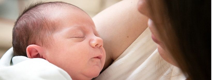 11th November 2021 Events In Peoria Peoria Events November 2022