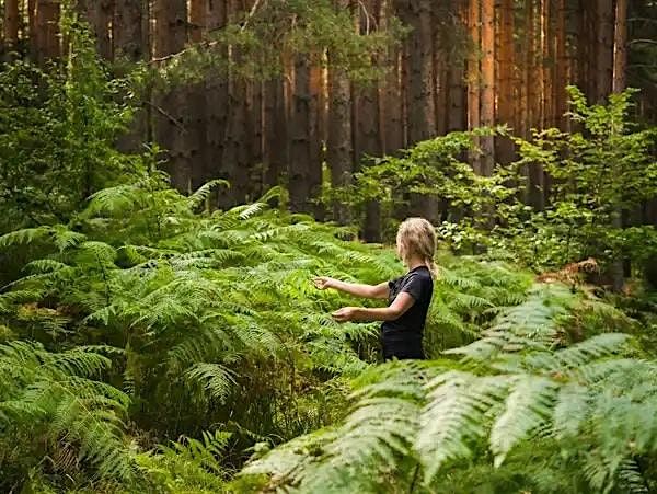 Guided Forest Therapy Walk, 24 August | Event in Nehalem | AllEvents