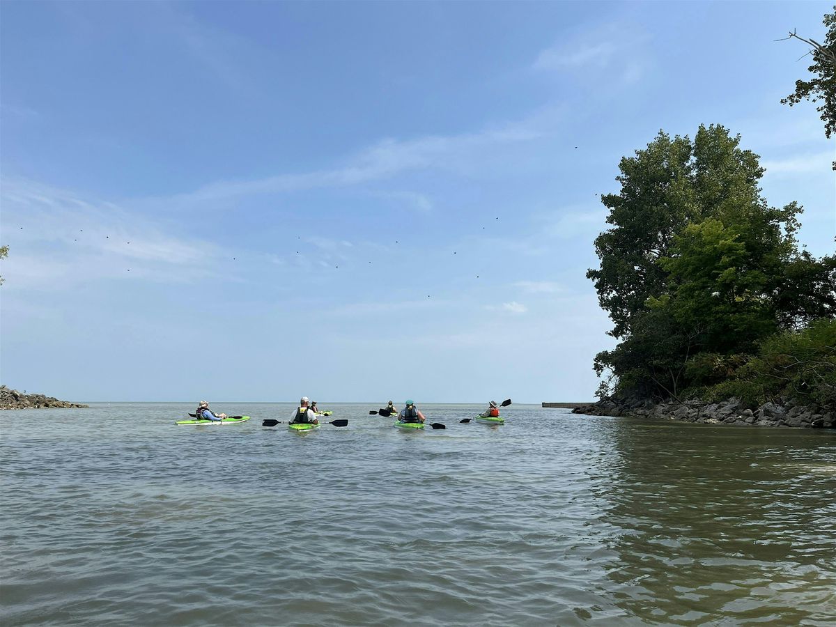 Crane Creek Paddle, 12 August | Event in Oak Harbor | AllEvents