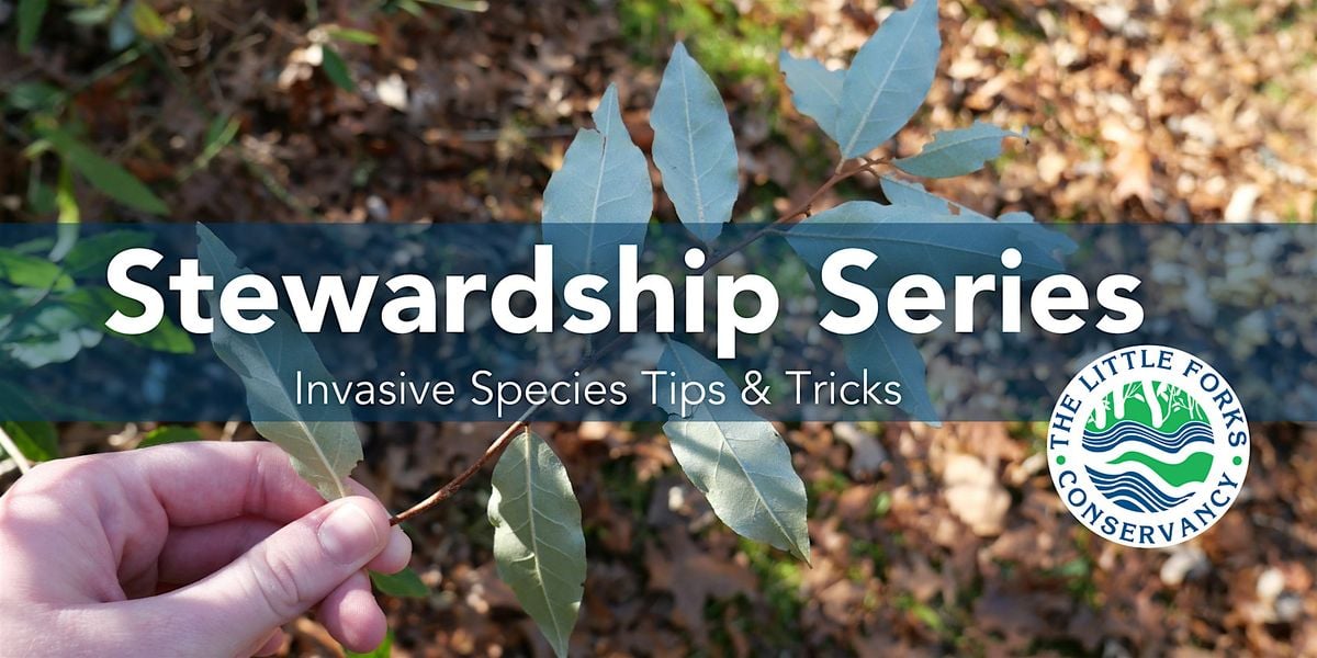 Stewardship Series: Invasive Species Tips & Tricks, 12 August | Event in Midland | AllEvents