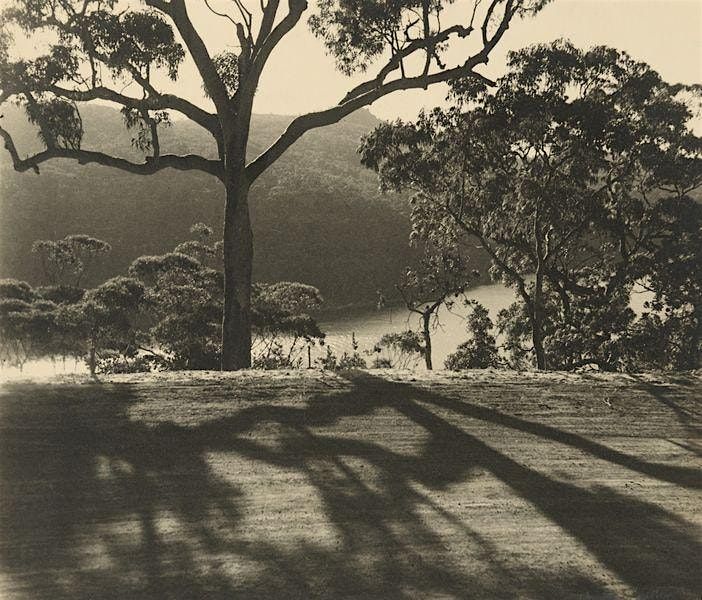CURATOR TALK: Olive Cotton and her contemporaries, 23 August | Event in Windsor | AllEvents