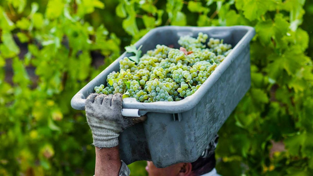 Savor & Sustain: A Wine Dinner with Twomey & Prince Hill Vineyards, 13 September | Event in Atlanta