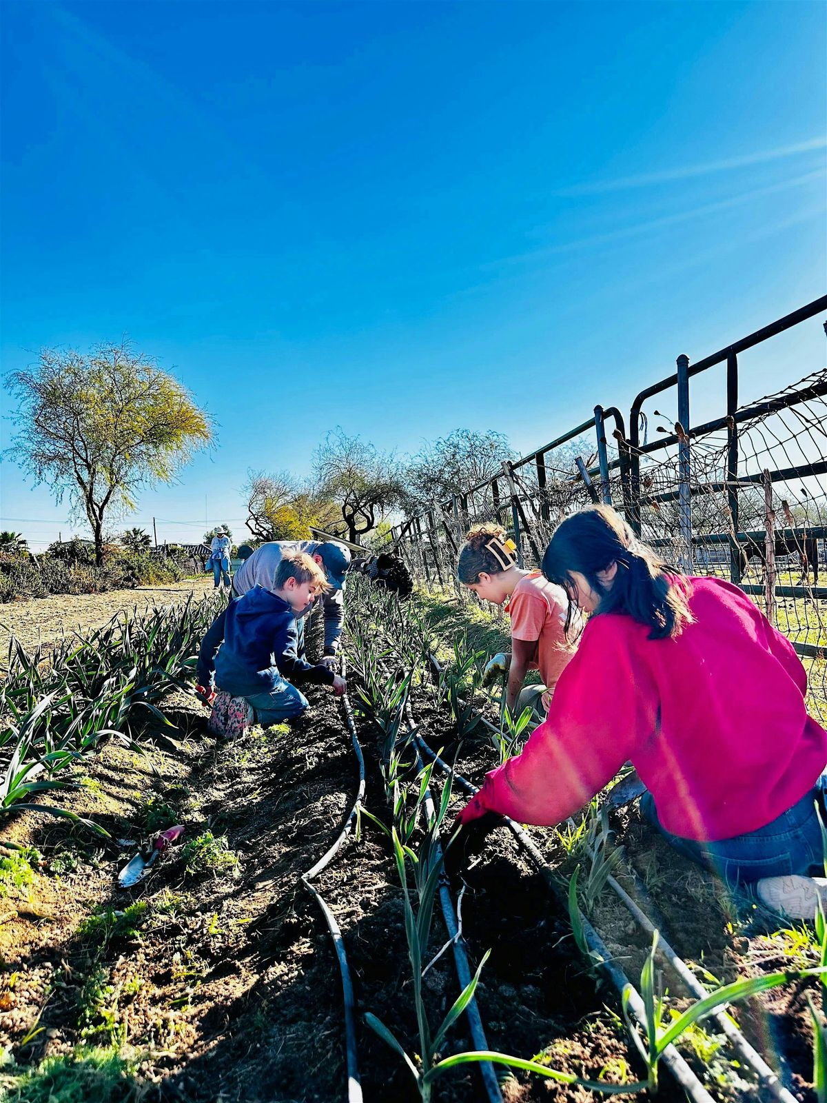 Help-A-Farm - Maya's Farm - Phoenix, 5 October | Event in Phoenix | AllEvents