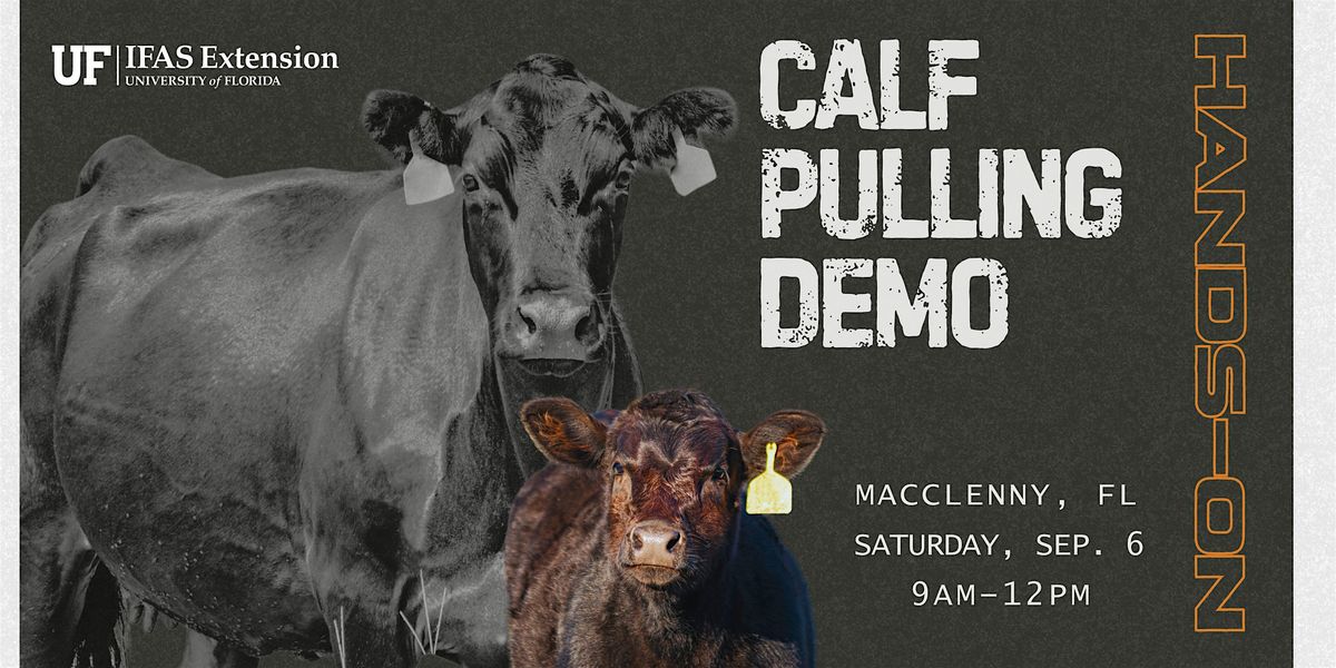 Calf Pulling Demo, 6 September | Event in Macclenny | AllEvents