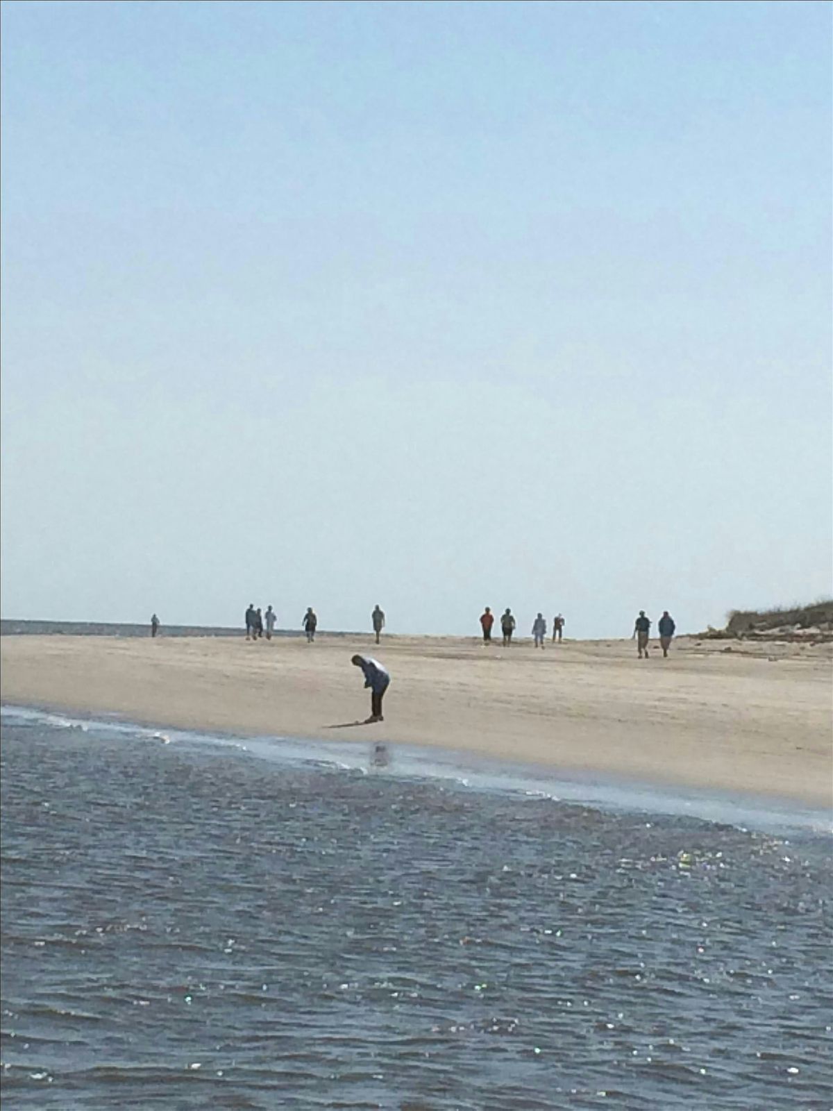 Ossabaw Island Beach Ecology Day Trip, 18 October | Event in Ossabaw Island | AllEvents