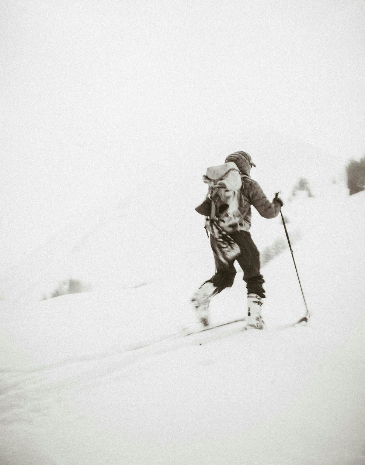 Backcountry Skiing & Riding 101, 20 November | Event in Boulder | AllEvents