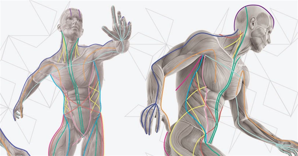 October 13 , 2025 Functional Forum  (Northern Colorado), 13 October | Event in Fort Collins | AllEvents