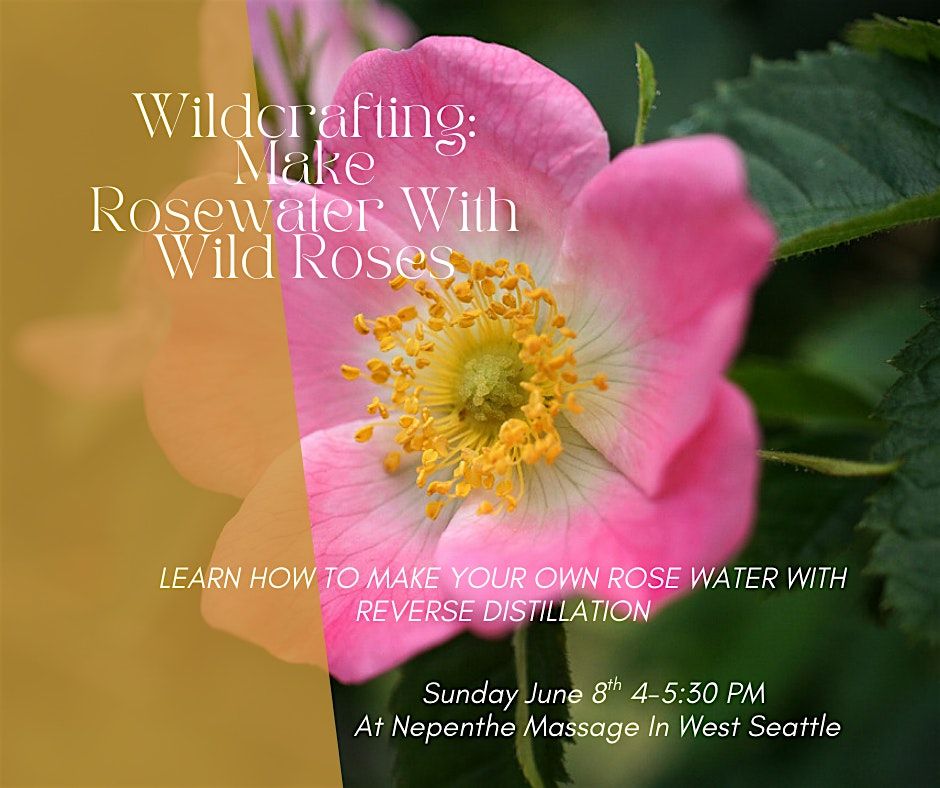 Wildcrafting: Make Rosewater with wild roses, 8 June | Event in Seattle | AllEvents