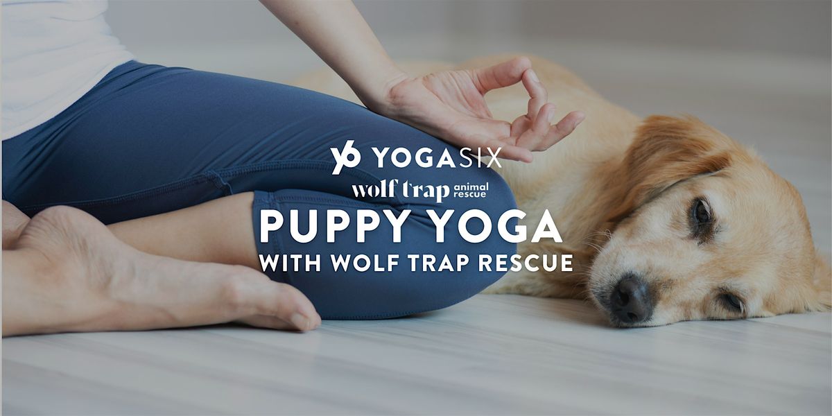 Puppy Yoga with Wolftrap Rescue, 8 June | Event in Ashburn | AllEvents