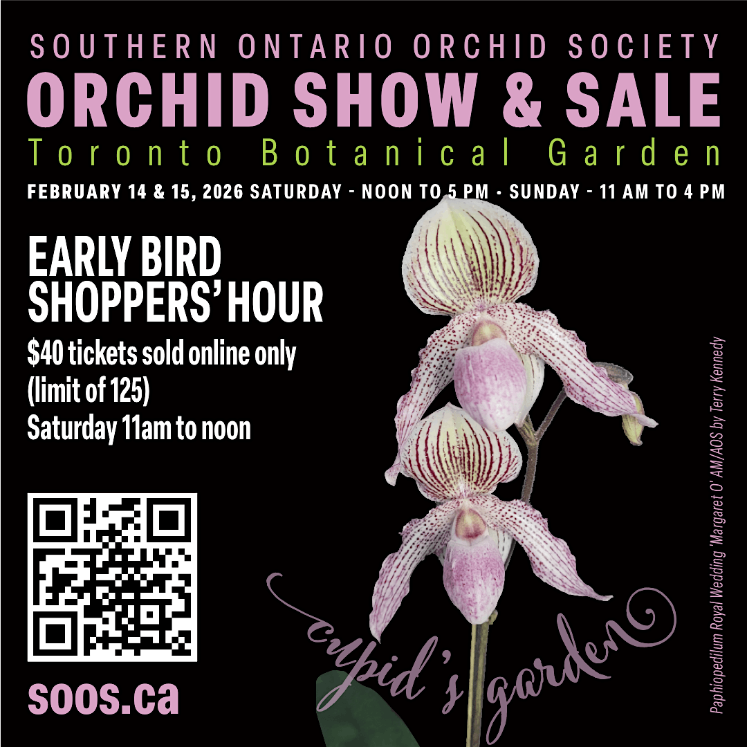 Early Bird Shoppers' Hour (avoid the crowds), 14 February | Event in Toronto | AllEvents