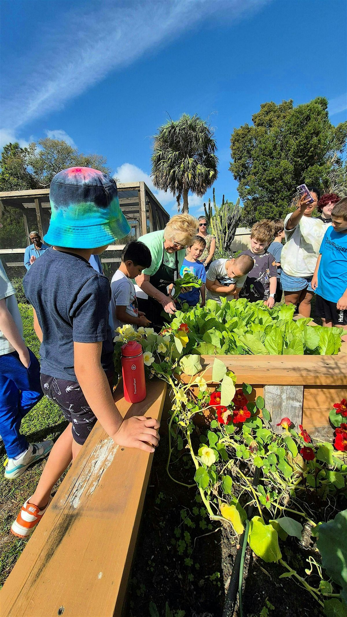 Dig In! Start Your First Vegetable Garden, 26 August | Event in Lakeland | AllEvents