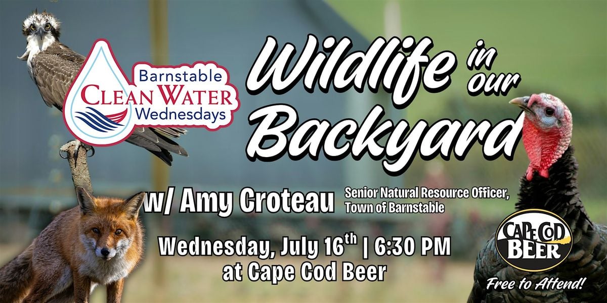 Wildlife in our Backyard with Barnstable Clean Water at Cape Cod Beer!, 16 July | Event in Barnstable | AllEvents