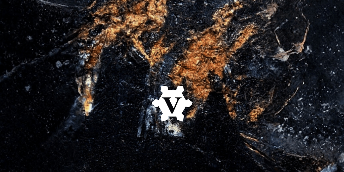 Vauban Presents: Reading Raspail, 6 December | Event in Washington | AllEvents