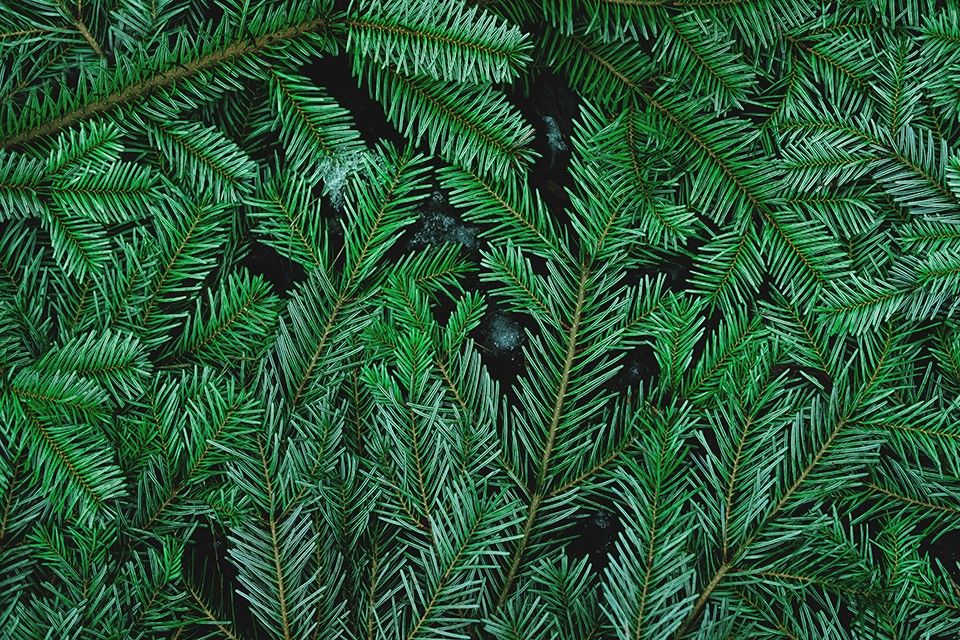 Adult Holiday Garlands, Museum of the Shenandoah Valley
