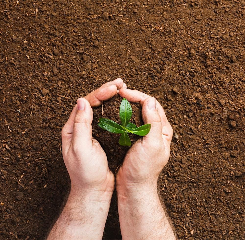 Soil health basics, 17 October | Event in Melrose | AllEvents