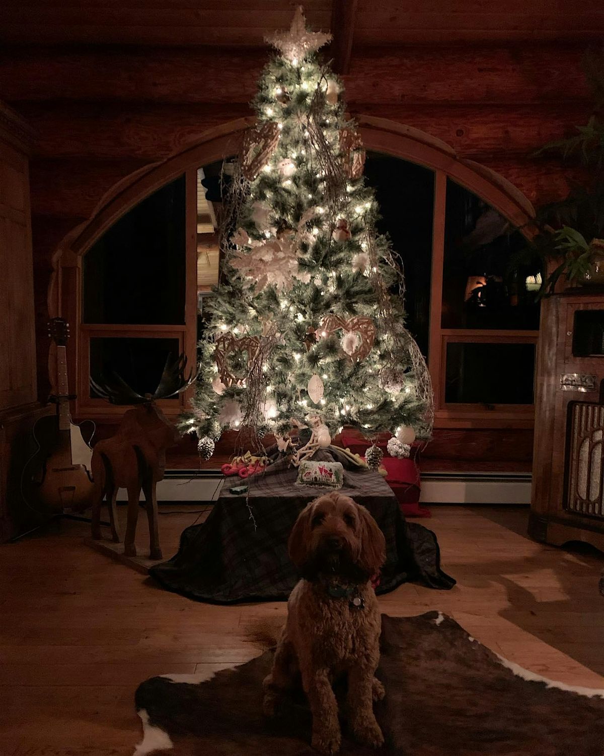 Twinkle & Flow:Christmas Yoga at At The View Winery With Gingerbread & Wine, 13 December | AllEvents