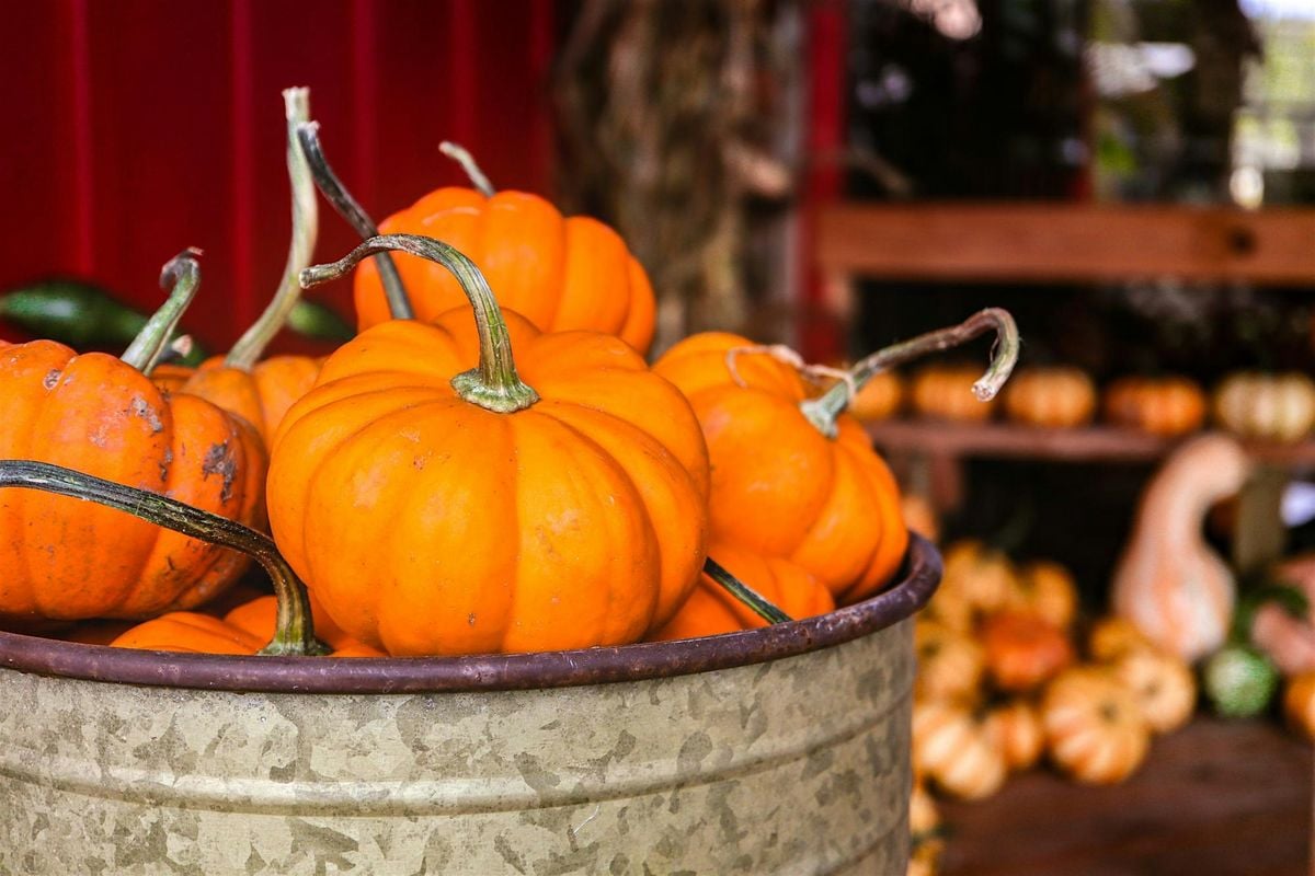 Little Bugs Learning Lab: Fall Fun, 26 October | Event in Rockledge | AllEvents