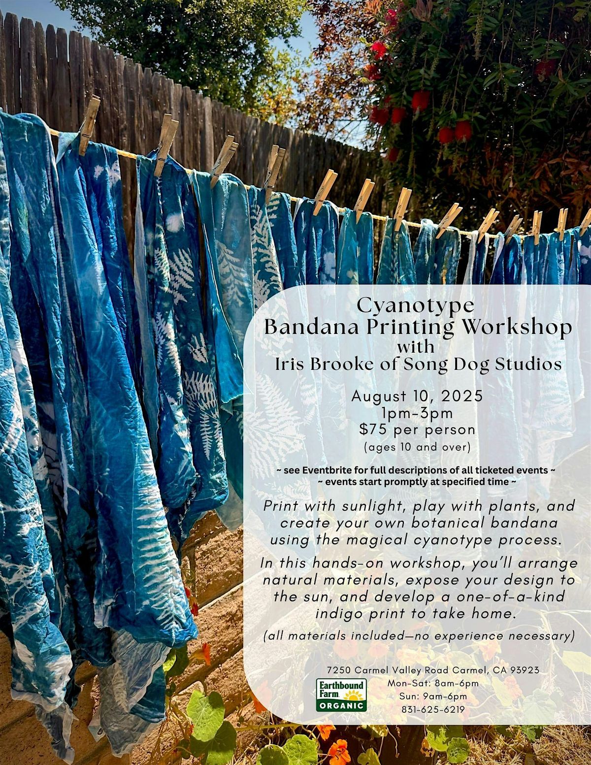 Cyanotype Bandana Printing Workshop with Iris Brooke of Song Dog Studios, 10 August | Event in Carmel-by-the-Sea