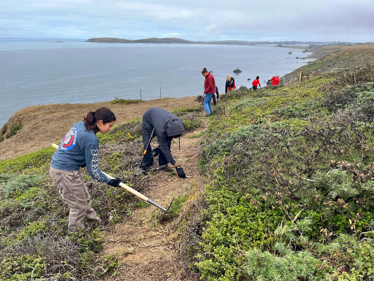 Stewardship Day at Jenner Headlands Preserve, 16 December | Event in Jenner | AllEvents