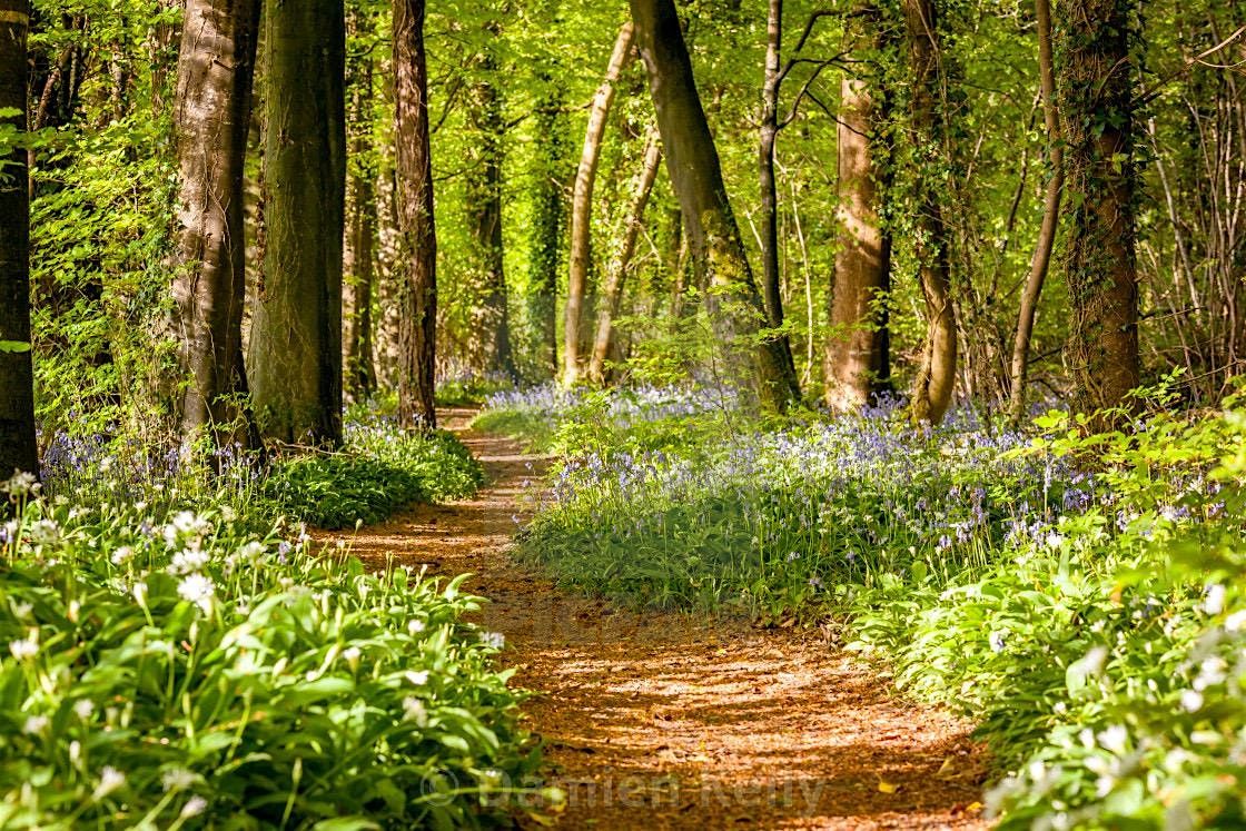 Moon Circles | Event in Totnes | AllEvents