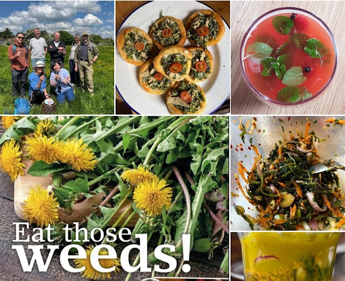 Make Your Own Wild Kimchi, 18 April | Event in Leighton Buzzard | AllEvents