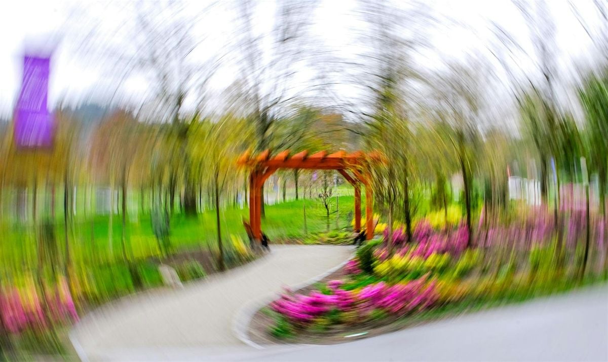 Creative In-Camera Techniques – with Janet Pearson, 5 October | Event in New Westminster | AllEvents