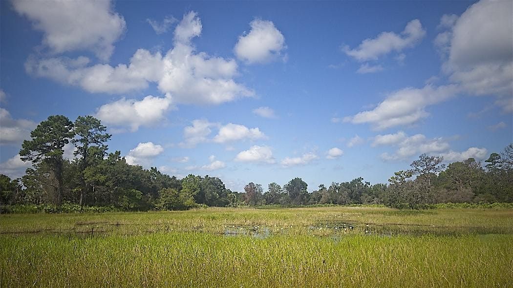 Pawpaw Chapter FNPS Field Trip - D Ranch Preserve, 11 October | Event in Osteen | AllEvents
