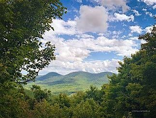 CannaBLISS in the Catskills Summer Fun July 26th & 27th 2025, 26 July | Event in Delhi | AllEvents