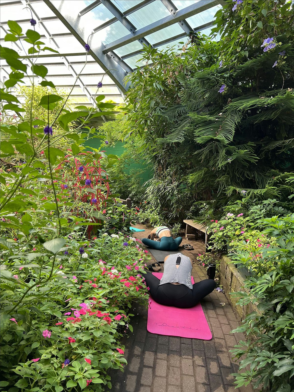 Butterfly Yoga, 14 June | Event in Westford | AllEvents