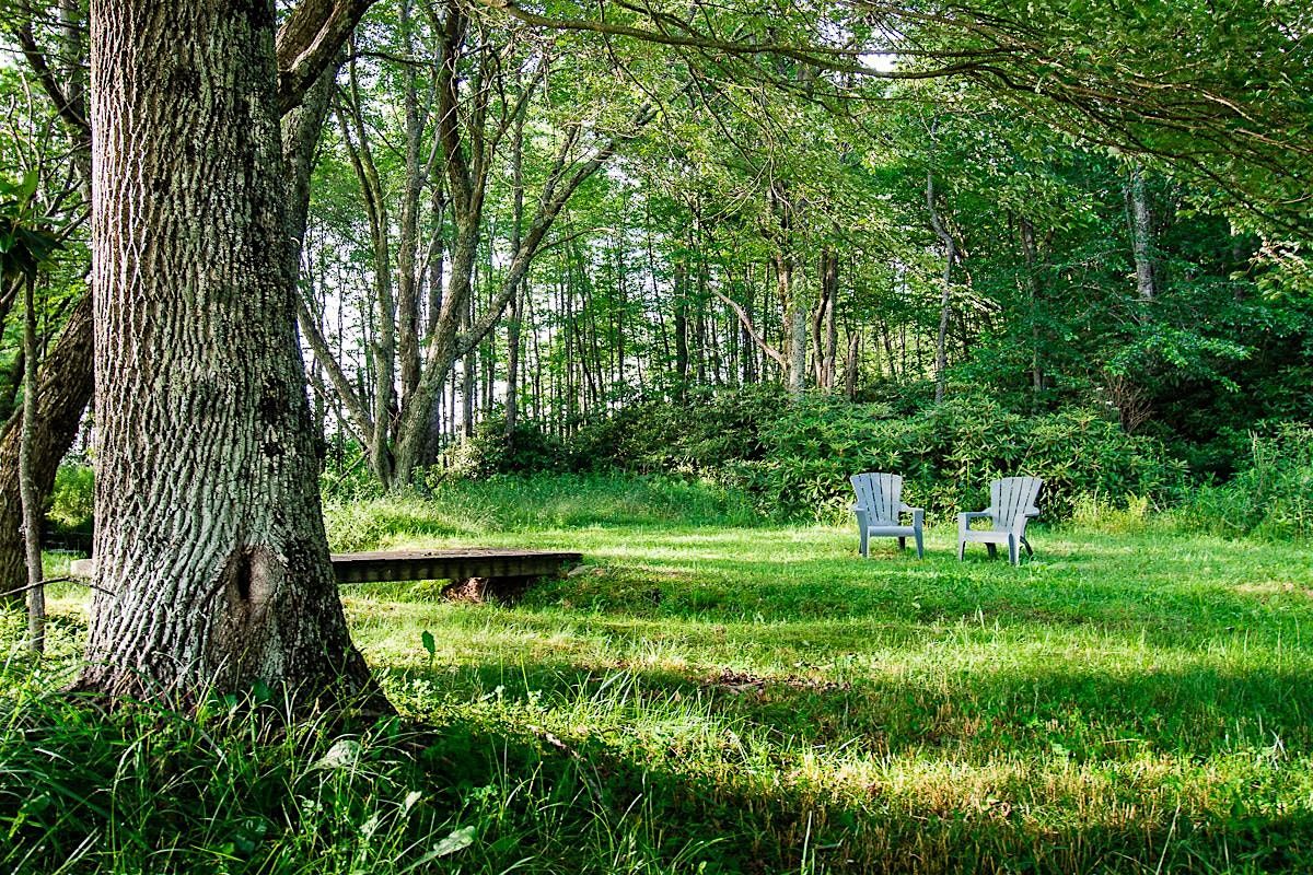 Unplug & Recharge Retreat, 19 July | Event in Meadows of Dan | AllEvents