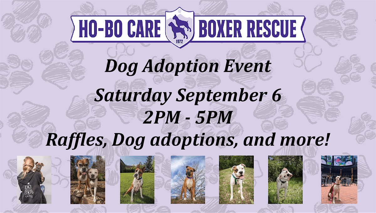 Ho-Bo Care Boxer Adoption Event, 6 September | Event in Denver | AllEvents