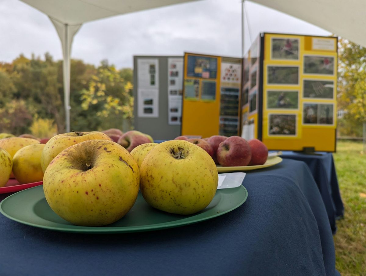Kiveton Community Orchard Apple Day, 18 October | Event in Sheffield | AllEvents
