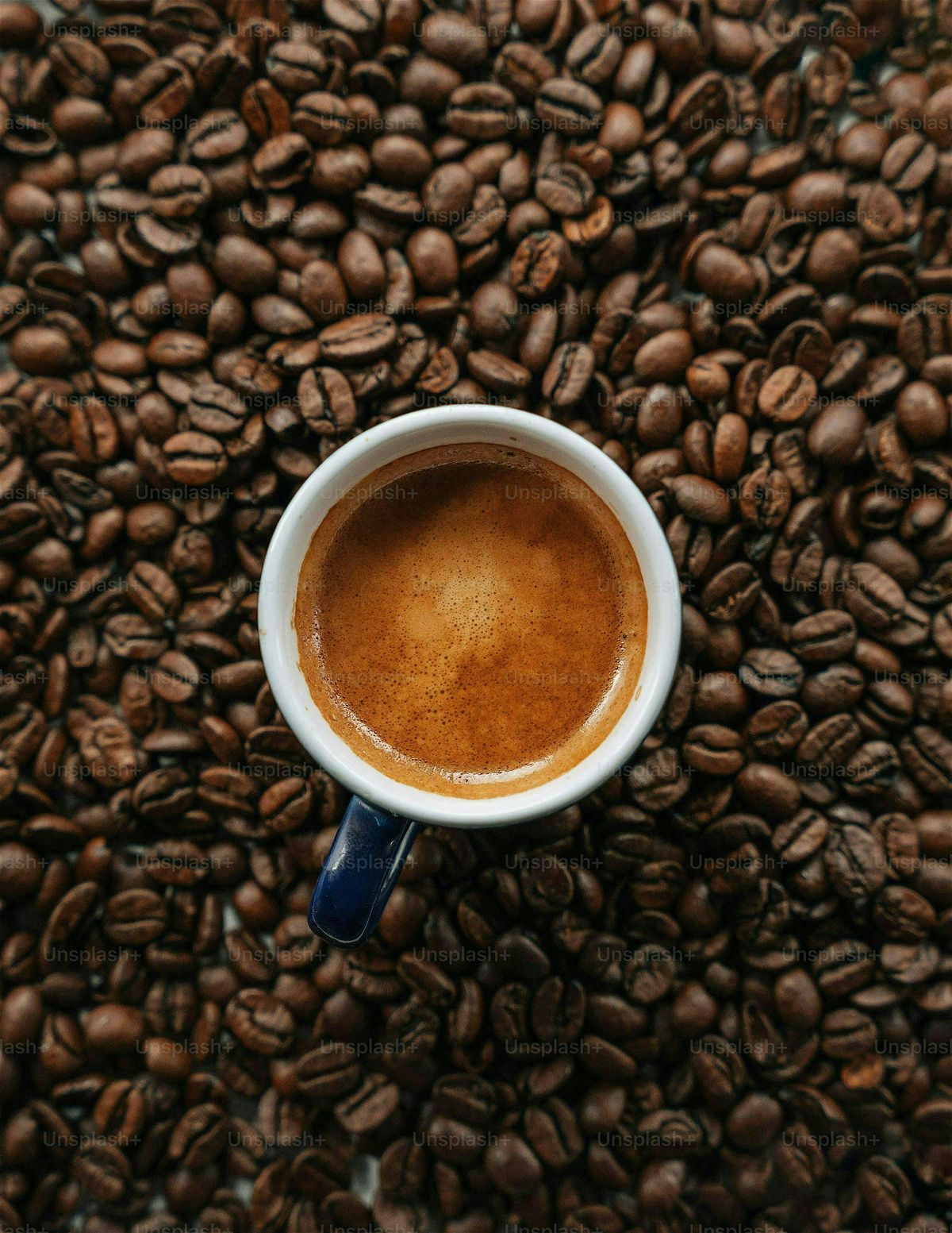 Coffee In The Kitchen Test, 13 June | Event in Des Plaines | AllEvents