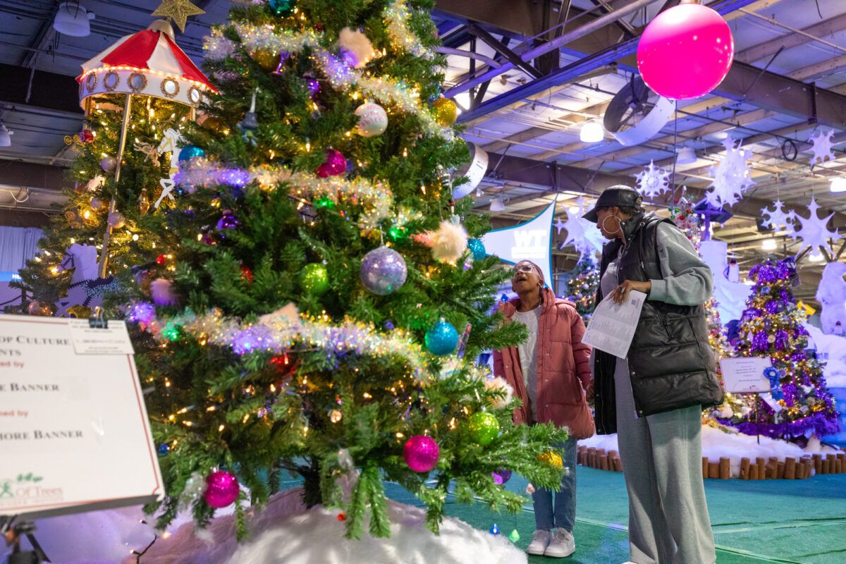 All Mighty Senators, 30 December | Event in Baltimore | AllEvents