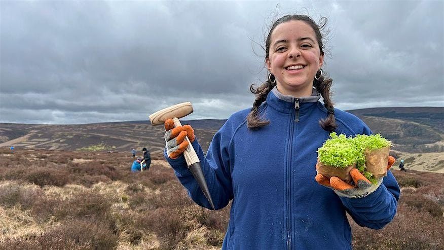 Sphagnum Moss Planting on Kinder Scout, Peak District - Thurs 22nd January, 22 January | Event in Hayfield