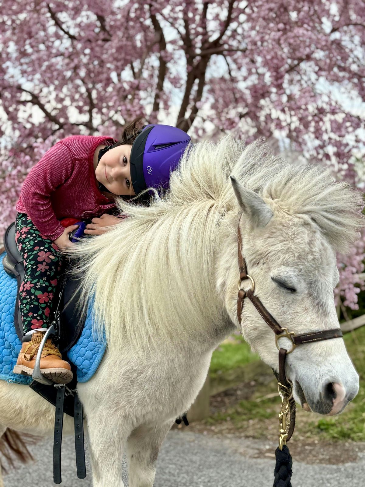 Pony Preschool Minis (age 2-4), 24 July | Event in Washington Boro | AllEvents
