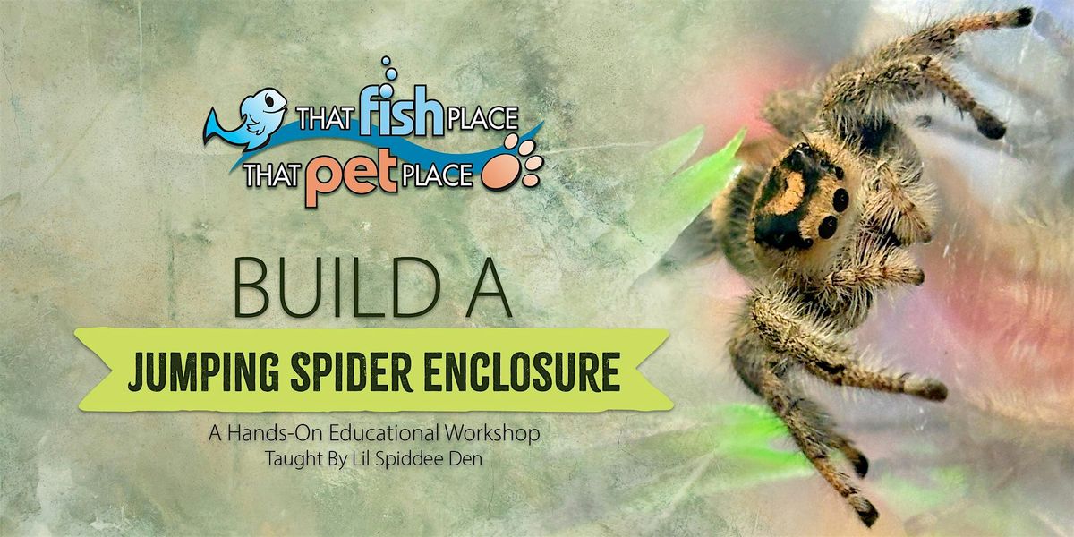 Build a Jumping Spider Enclosure, 7 September | Event in Lancaster | AllEvents