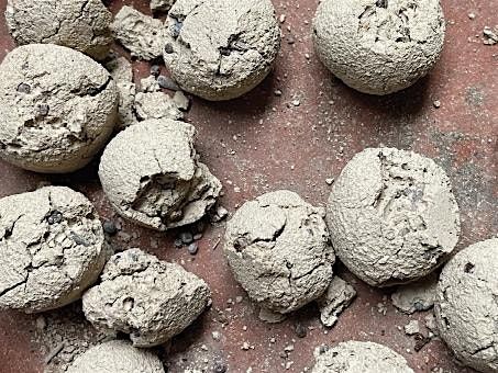 SEED BOMB Artist Talk: NYC & Birthplace of the Manhattan Project, 13 August | Event in New York | AllEvents