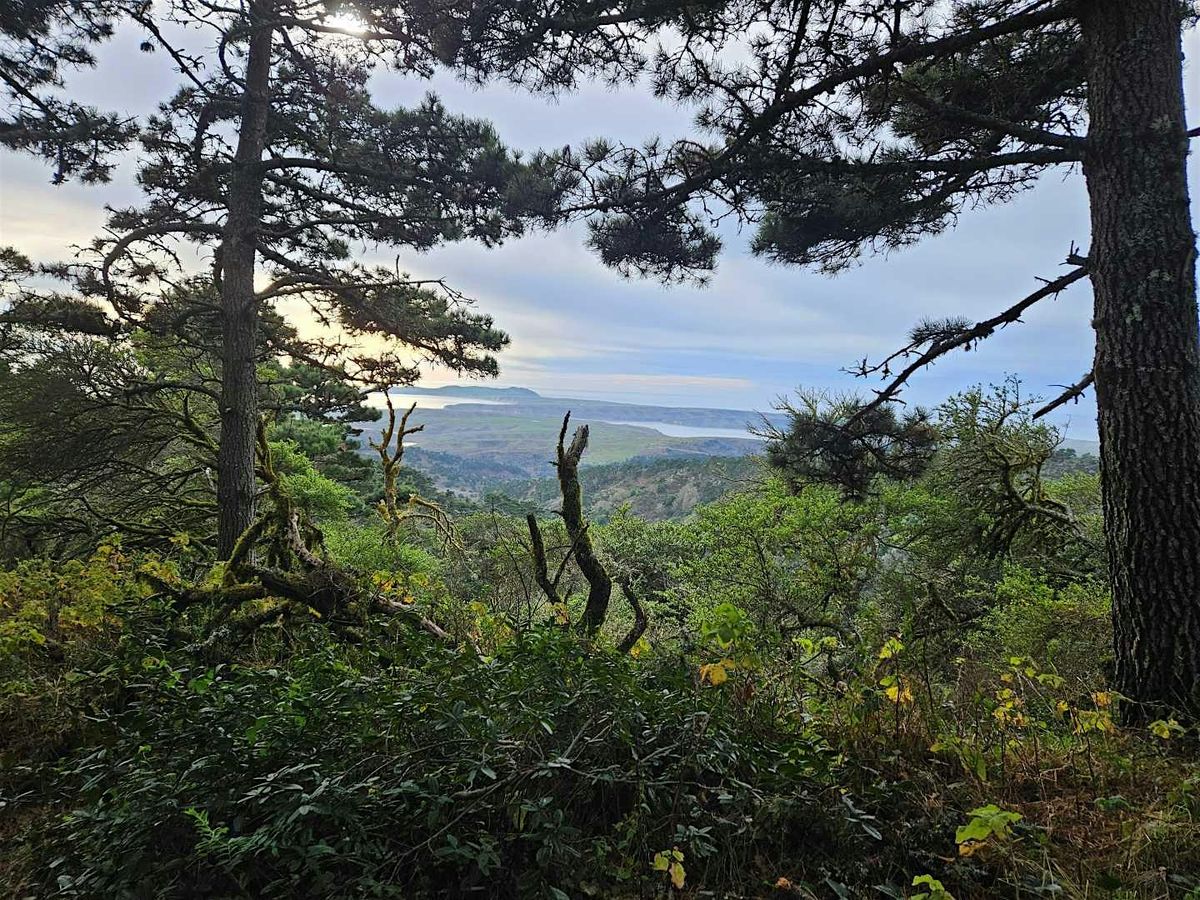 Backcountry First Aid, 16 August | Event in Point Reyes Station | AllEvents