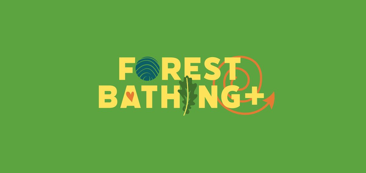 Forest Bathing + on Ashdown Forest (A FREE training event), 26 September | Event in Hartfield | AllEvents