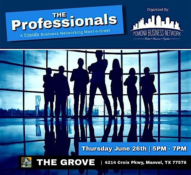 The Professionals | A Friendly Business Networking Meet-n-Greet, 26 June | Event in Manvel | AllEvents