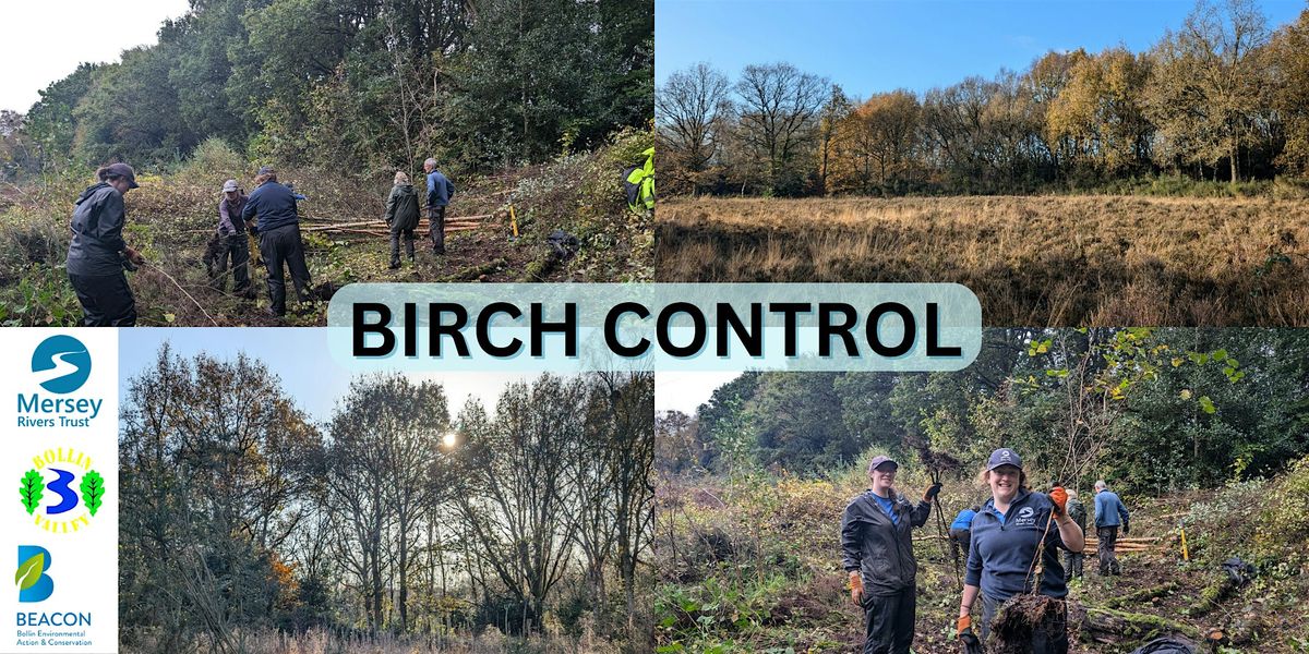 Battling the Birch at Lindow Common, 19 November | Event in Wilmslow | AllEvents