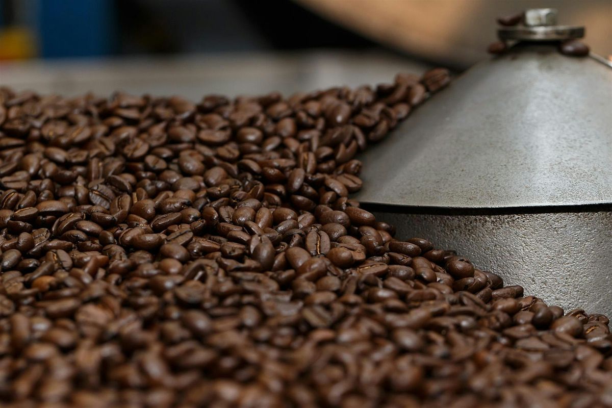 From Chiapas to Your Cup: The human story behind Café Mam coffee, 20 November | Event in Ashland | AllEvents