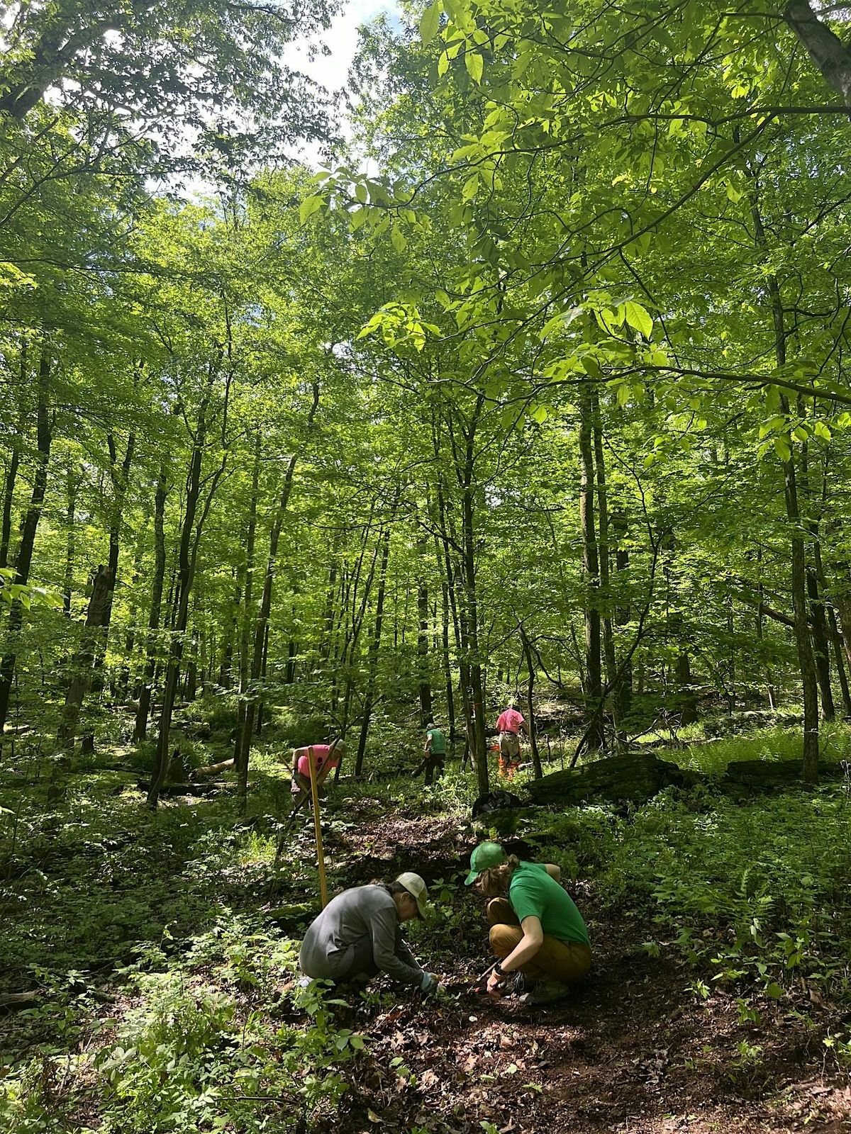 Red Maple to Steffen, 18 August | Event in Sandyston | AllEvents